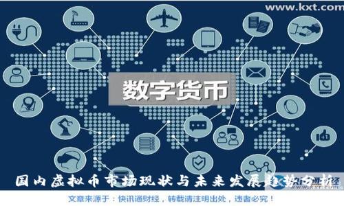 国内虚拟币市场现状与未来发展趋势分析