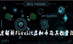 深度解析Fbexbit虚拟币及其投资潜力