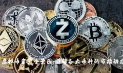 2023年虚拟币资产全景图：详解各大币种的市场动
