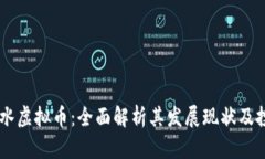 吕梁文水虚拟币：全面解析其发展现状及投资潜