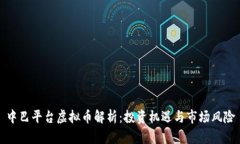 中巴平台虚拟币解析：投资机遇与市场风险