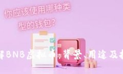 深入了解BNB虚拟币：背景、用途及投资机会