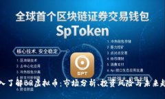 深入了解BR虚拟币：市场分析、投资风险与未来趋