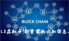 全面了解FLS虚拟币：投资前的必知信息与市场分