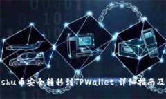 如何将Kishu币安全转移到TPWallet：详细指南及注意