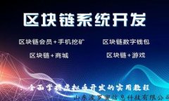 : 全面掌握虚拟币开发的实用教程