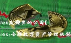 TPWallet是哪里的公司？TPWallet：全球数字资产管理