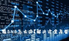 TPWallet没有BNB怎么办？解决方案与替代选项详解