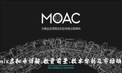 Omix虚拟币详解：投资前景、技术分析及市场动态