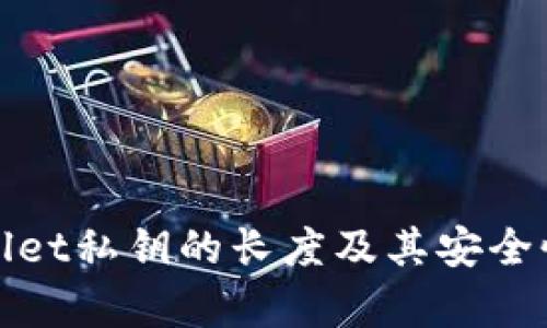 tpwallet私钥的长度及其安全性分析