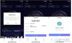 TPWallet在中国的使用现状及替代方案分析