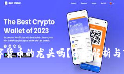 虚拟币是数字货币的龙头吗？全面解析与市场趋势分析