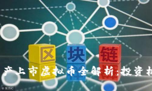 2023年最新国产上市虚拟币全解析：投资机会与风险评估