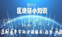  2023年虚拟币牛市的全面解析：趋势、机遇与风