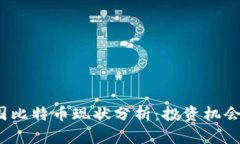 2023年美国比特币现状分析：投资机会与风险解读