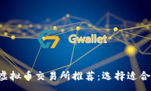 :
2023年最佳虚拟币交易所推荐：选择适合你的投资平台