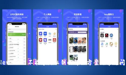 TPWallet BTC 不能导出私钥的解决方案与常见问题分析