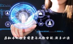 虚拟币的投资前景与风险分析：新手必读
