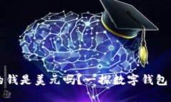 tpwallet里的钱是美元吗？一探数字钱包与法币的关