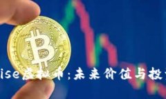 深入探讨Rise虚拟币：未来价值与投资潜力解析