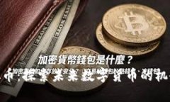 UEN虚拟币：探索未来数字货币的机会与挑战