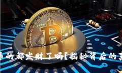 做虚拟币的都发财了吗？揭秘背后的真实故事