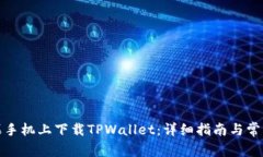 如何在苹果手机上下载TPWallet：详细指南与常见问