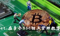 全面解析TPWallet：在多个BSC链上管理数字资产的最
