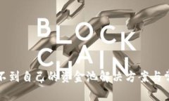 tpwallet看不到自己的资金池解决方案与常见问题解