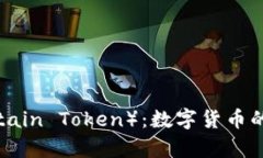 船长虚拟币（Captain Token）：数字货币的未来与投