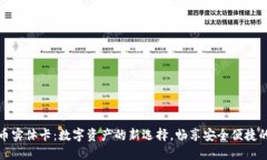 瑞讯虚拟币实体卡：数字资产的新选择，畅享安