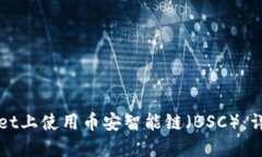 如何在TPWallet上使用币安智能链（BSC）：详细指南