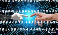 区块链钱包的限制与边界探讨区块链钱包, 数字货