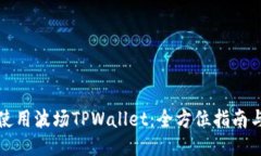 如何使用波场TPWallet：全方位指南与技巧